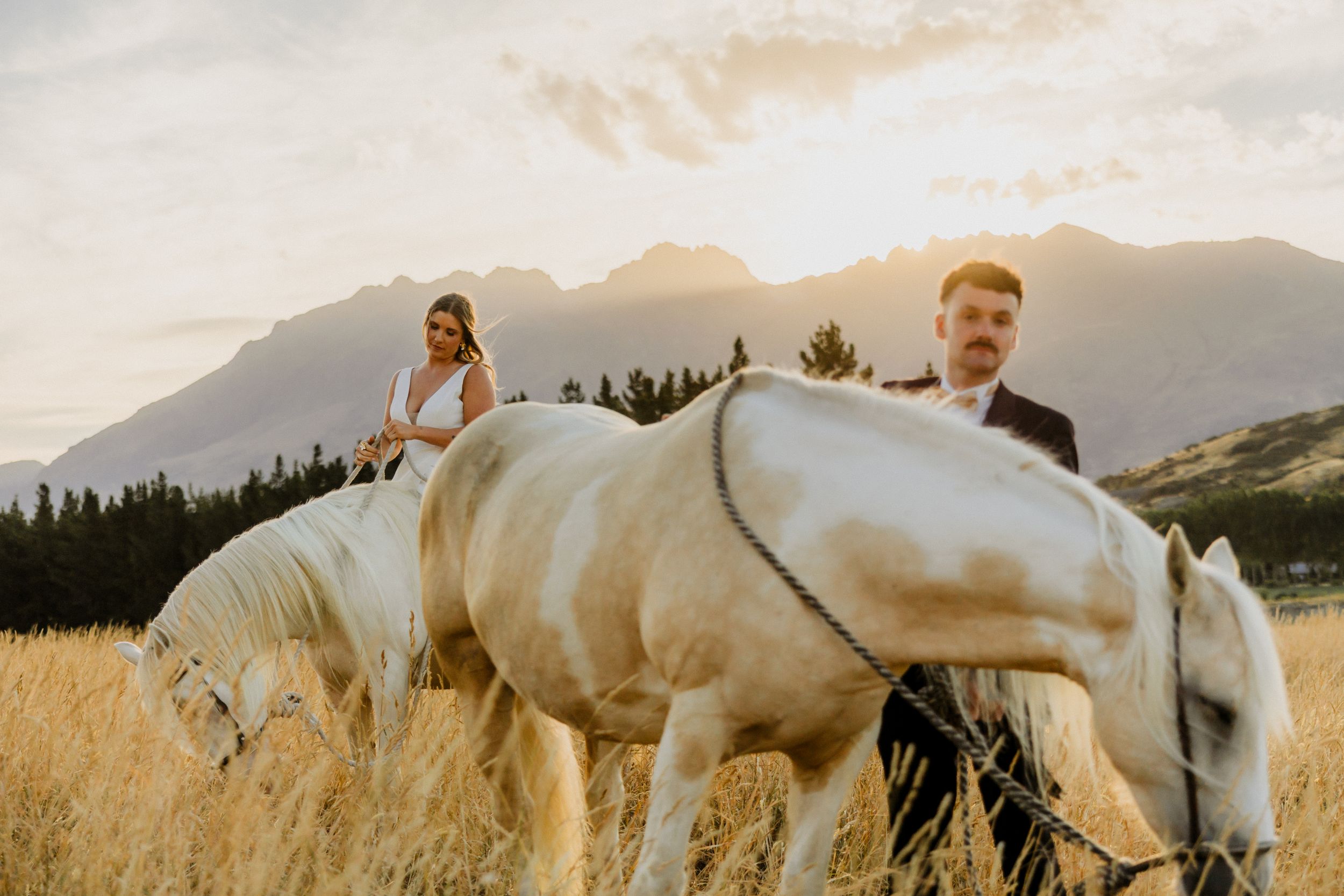 Vineyard wedding in the South Island